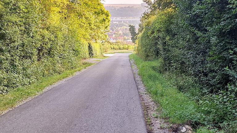 Blick von oben nach unten auf den 3,10 Meter breiten asphaltierten Feldweg (links befindet sich an der Lücke im Heckenbereich der Eingang zum Grillplatz, darunter ein öffentlicher Parkplatz mit sieben Plätzen). Kritisch wird die Durchfahrt für Traktoren, Rettungs- und Feuerwehrfahrzeuge, wenn auf dem Grünstreifen links Autos parken und noch 1,20 Meter der Fahrbahn belegen.