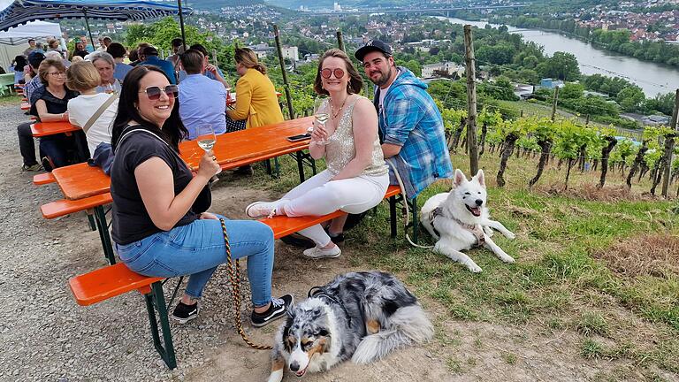 Ausblick ins Maintal mit Schoppen: Am Samstag findet in Veitshöchheim zum fünften Mal die kleine Weinlagenwanderung statt. Ausblick ins Maintal mit Schoppen: Am Samstag findet in Veitshöchheim zum fünften Mal die kleine Weinlagenwanderung statt.