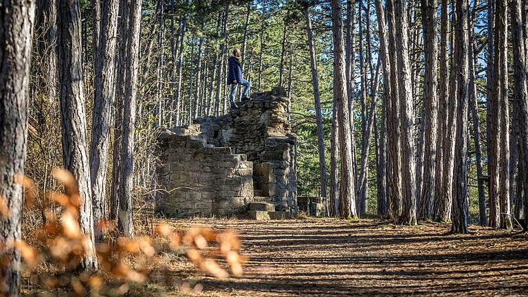 Bei Leinach kann man durch den größten zusammenhängenden Schwarzkieferbestand Deutschlands wandern und die Überreste des Wartturms besichtigen.