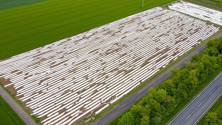 Die Luftaufnahme&nbsp; aus dem vergangenen Jahr zeigt ein Spargelfeld bei Dettelbach im Lkr. Kitzingen.