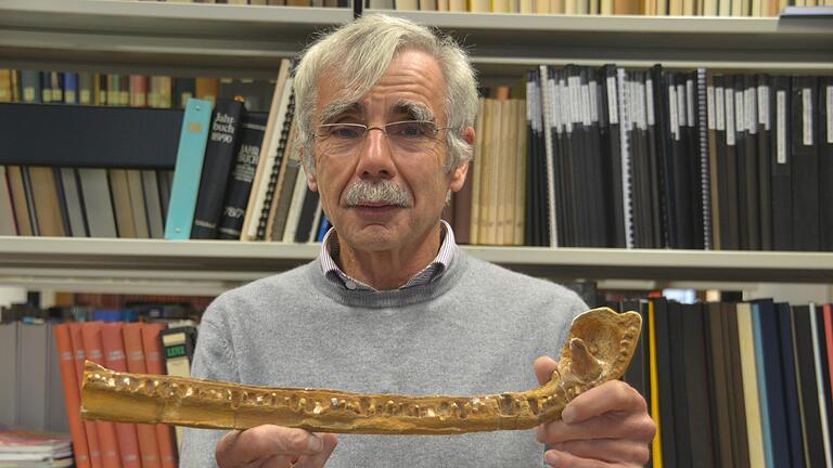 Eine Botschaft aus der Urzeit: Das Gipsmodell ist von einem Unterkiefer eines Mastodonsaurus, der vor über 240 Millionen Jahren gelebt hat.&nbsp;Dieser wurde in einem Steinbruch bei Gambach entdeckt. Professor Dr. Gerd Geyer hält ihn in der Hand.