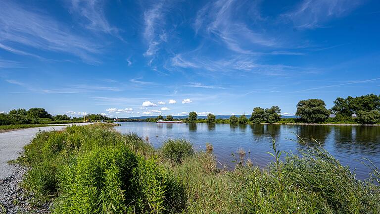 Donau       -  Im Juli hatten Taucher die Knochen in der Donau in der Nähe einer Eisenbahnbrücke gefunden. (Symbolbild)