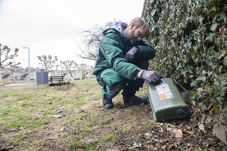 Torsten Volkmar von der Schädlingsbekämpfungsfirma APC kontrolliert Rattenfallen an der Leonhard-Frank-Promenade. Torsten Volkmar von der Schädlingsbekämpfungsfirma APC kontrolliert Rattenfallen an der Leonhard-Frank-Promenade. 