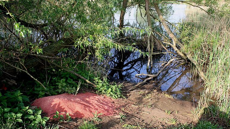 Ein Unbekannter hatte dieser Tage am Ufer neben dem Wassereinlauf des kleinen Vetter-See genannten Gewässerbiotops nördlich von Rügshofen gut einen halben Zentner mit gebeiztem Weizen-Saatgut entsorgt. Ein Spaziergänger hatte die illegale Abfallentsorgung zufällig bemerkt.