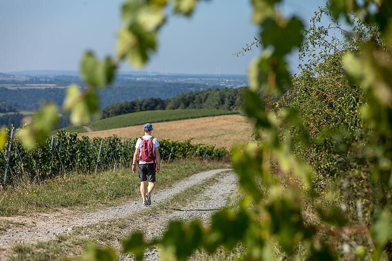 Der Wanderweg zählt zu den zertifizierten Touren mit dem Qualitätssiegel 'Wege zum Wein'. Der Wanderweg zählt zu den zertifizierten Touren mit dem Qualitätssiegel 'Wege zum Wein'.
