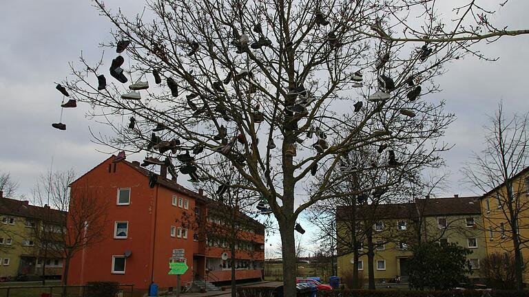 Auch im Notwohngebiet in der Egerländer Straße in Kitzingen hängen Schuhe im Baum.