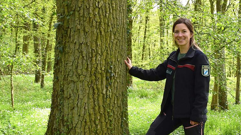 Die Kontrolle der Eichen auf Schädlinge wie den Eichenprachtkäfer zählen zu den Aufgaben der neuen Wernecker Revierleiterin Selina Schott.