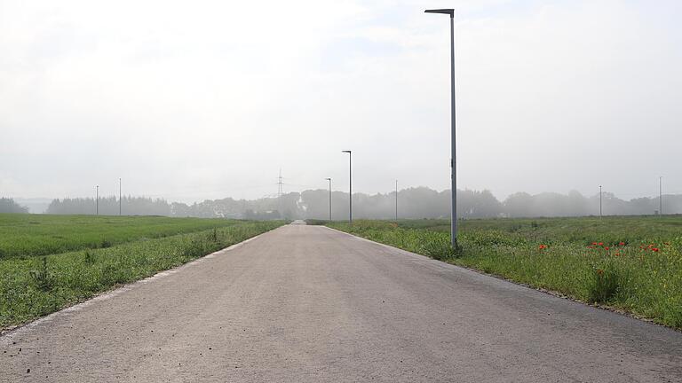 Nach einigen Regentagen sieht es im Gewerbepark Söllershöhe bei Altfeld neben den Straßen schön grün aus. Noch fehlen aber Bäume und Sträucher. Die Planung der Grünflächen war Thema im Bauausschuss des Marktheidenfelder Stadtrates.