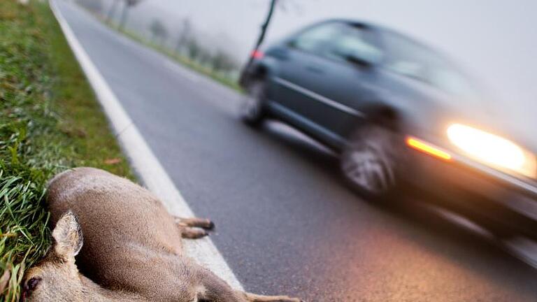 Autofahrer sollten Wildunfälle gut dokumentieren. Denn die Versicherung zahlt nur, wenn die Schäden bewiesen sind. Foto: Julian Stratenschulte       -  Tödlicher Wildunfall: Ein Reh liegt nach einem Zusammenstoß mit einem Fahrzeug am Straßenrand.