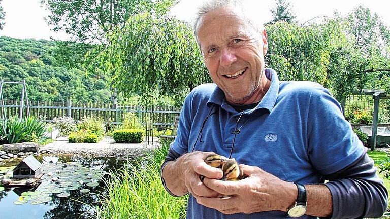 Zwei von fünf. Kurt Eimer aus Schweinfurt in seinem Garten mit seinen Entenküken.