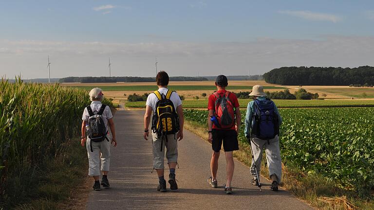 Die Via Romea auf dem Weg durchs fränkische Gauland hinter Aub. Als Europäische Kulturstraße steht der mittelalterlicher Pilgerweg inzwischen auf einer Stufe mit dem Jakobsweg. Die Via Romea auf dem Weg durchs fränkische Gauland hinter Aub. Als Europäische Kulturstraße steht der mittelalterlicher Pilgerweg inzwischen auf einer Stufe mit dem Jakobsweg. 