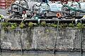 Oil spill IN Genoa       -  Arbeiter beim Versuch den Fluss Polcevera von Öl zu befreien.