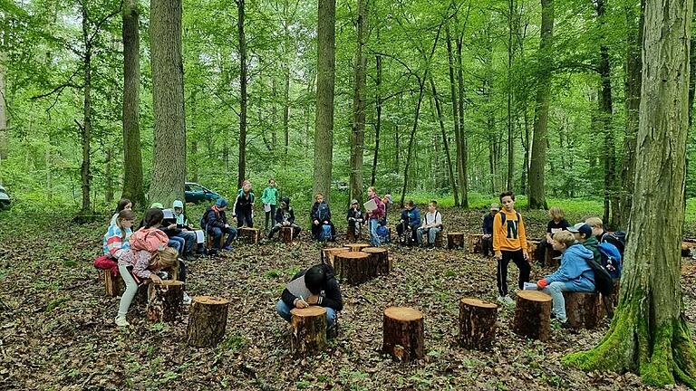 Ein 'Klassenzimmer' im Wald. Ein 'Klassenzimmer' im Wald.