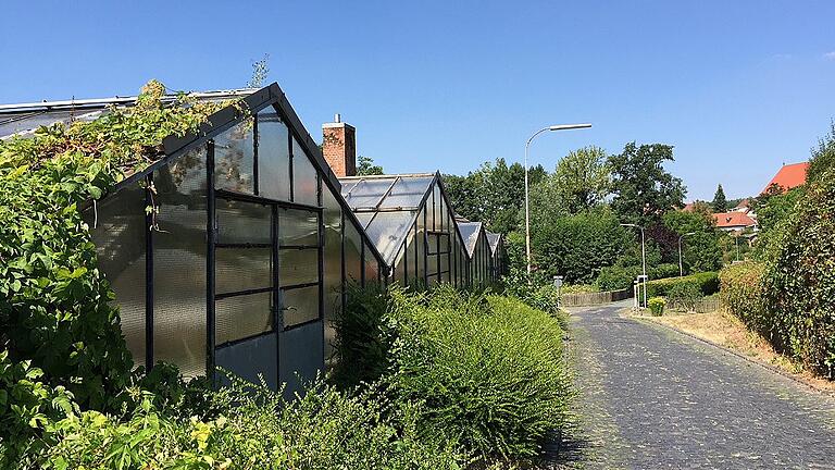 Auf dem Weg von der Gartenstraße zum Bahnhof sollen im Bereich der Gewächshäuser kleine Wohneinheiten im Grünen entstehen.