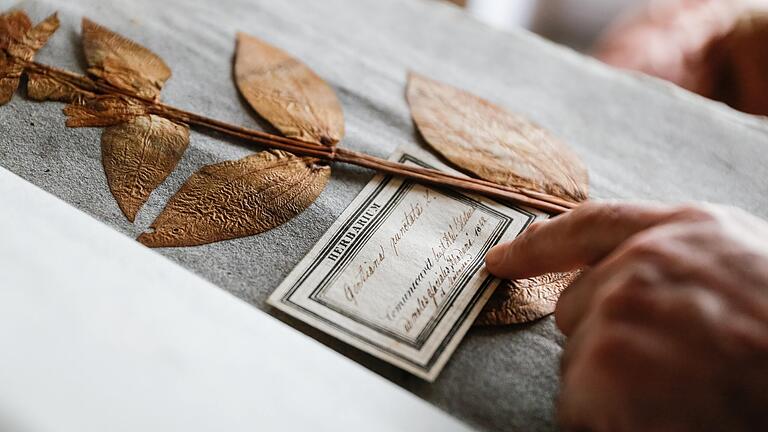 Mehr als 100.000 Belege umfasst das Herbarium des Botanischen Gartens in Würzburg. Alles ist systematisch sortiert. Besonders die Beschriftungen sind wichtig bei den Belegen.