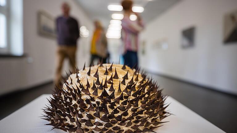 Stachelfrucht: Diese Arbeit von Katja Wunderling ist im Kunstsalong in der Kunsthalle Schweinfurt ausgestellt. Hier begegnen sich deutsche und chinesische Künstler. Stachelfrucht: Diese Arbeit von Katja Wunderling ist im Kunstsalong in der Kunsthalle Schweinfurt ausgestellt. Hier begegnen sich deutsche und chinesische Künstler. 