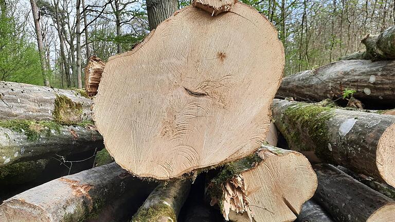 Der Holzpreis hat sich nach Angaben von Rannungens Bürgermeister Fridolin Zehner sehr gut entwickelt.       -  Der Holzpreis hat sich nach Angaben von Rannungens Bürgermeister Fridolin Zehner sehr gut entwickelt.