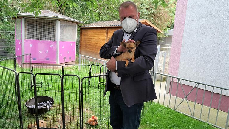 Berührungsängste hatte Landrat Thomas Eberth bei seinem Besuch im Tierheim Würzburg nicht – sehr zum Wohlwollen von Chihuahua-Dame Bärbele. Berührungsängste hatte Landrat Thomas Eberth bei seinem Besuch im Tierheim Würzburg nicht – sehr zum Wohlwollen von Chihuahua-Dame Bärbele.