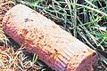 Erst viele Jahre später wurde diese Granate in einem Feld beim Umpflügen entdeckt.