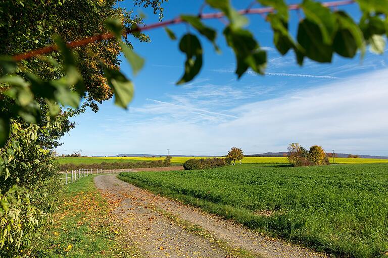 Die Tour führt mitten durch die Natur und entlang von Feldern. Die Tour führt mitten durch die Natur und entlang von Feldern. 