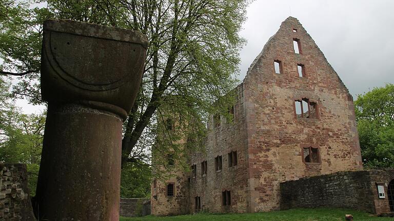 Die Ruine Schönrain soll wissenschaftlich untersucht werden.