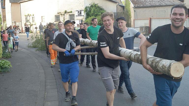 Das Foto zeigt die 27 Jugendlichen, den fast 20 Meter langen Maibaum gut gelaunt vom Ortsschild der Gerolzhöfer Straße zum Kirchplatz schleppen.