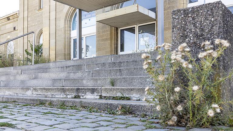 Der Kitzinger Bahnhof wuchert langsam zu. Kein Wunder: Er wird seit Monaten nicht genutzt.