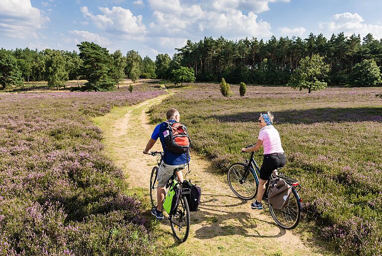 Die Heidelandschaft rund um Schneverdingen lässt sich prima auf einem der vielen Radwege der Region erkunden. Die Heidelandschaft rund um Schneverdingen lässt sich prima auf einem der vielen Radwege der Region erkunden.