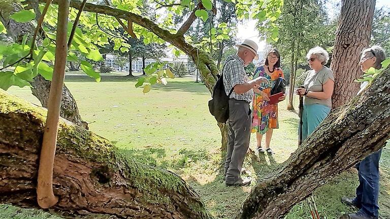 Bei einem Kulturspaziergang hat der Bad Brückenauer Rhönklub-Zweigverein den Schlosspark im Staatsbad erkundet.       -  Bei einem Kulturspaziergang hat der Bad Brückenauer Rhönklub-Zweigverein den Schlosspark im Staatsbad erkundet.