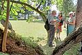 Bei einem Kulturspaziergang hat der Bad Brückenauer Rhönklub-Zweigverein den Schlosspark im Staatsbad erkundet.       -  Bei einem Kulturspaziergang hat der Bad Brückenauer Rhönklub-Zweigverein den Schlosspark im Staatsbad erkundet.