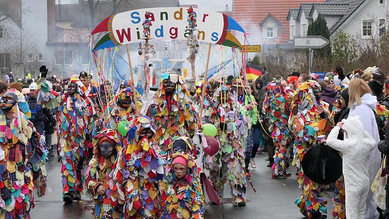 Kunterbunt marschierten vergangenes Jahr die 'Sander Wildgäns' durch die Korbmachergemeinde. Auch in diesem Jahr wird es wieder einen Faschingszug geben.