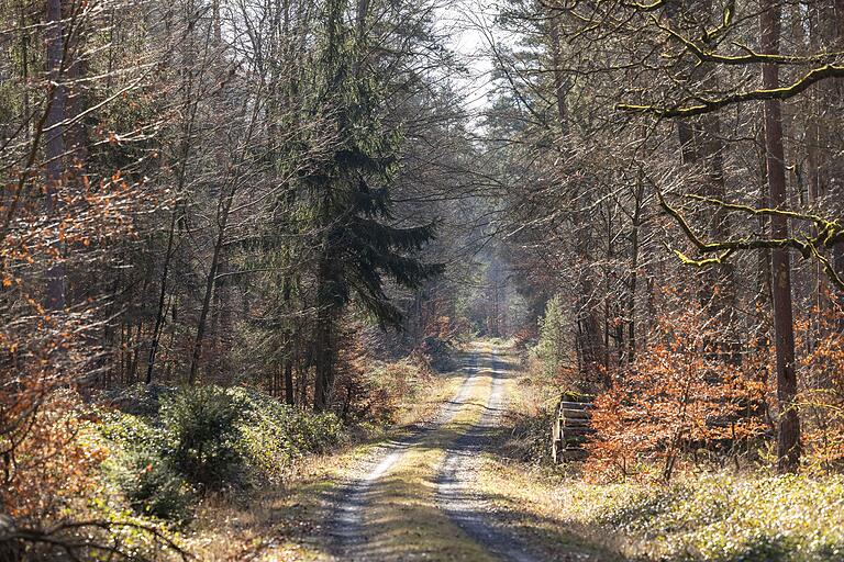 Die Route führt teilweise über die historische Weinstraße, die heute ihre ursprüngliche Bedeutung verloren hat. Die Straße in der Flur dient heute als Forstweg für die Waldbewirtschaftung. Die Route führt teilweise über die historische Weinstraße, die heute ihre ursprüngliche Bedeutung verloren hat. Die Straße in der Flur dient heute als Forstweg für die Waldbewirtschaftung.