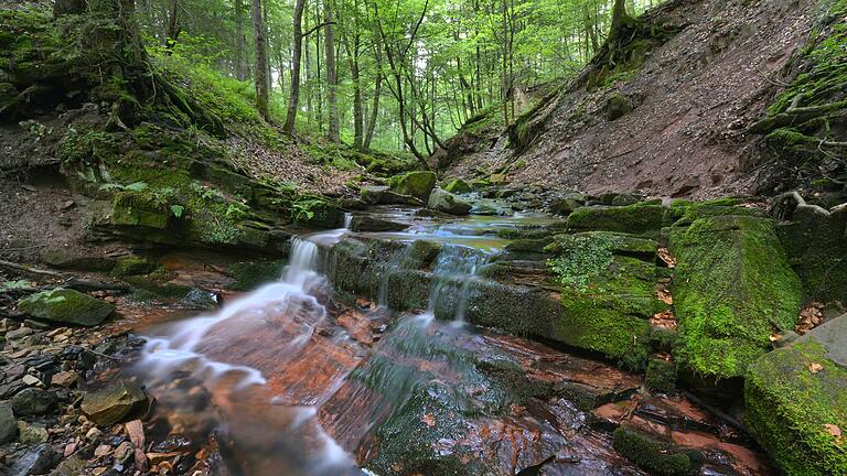 Die Kaskadenschlucht befindet sich in der Nähe des Gersfelder Stadtteils Sandberg und wartet mit beeindruckenden Bildern auf.&nbsp;