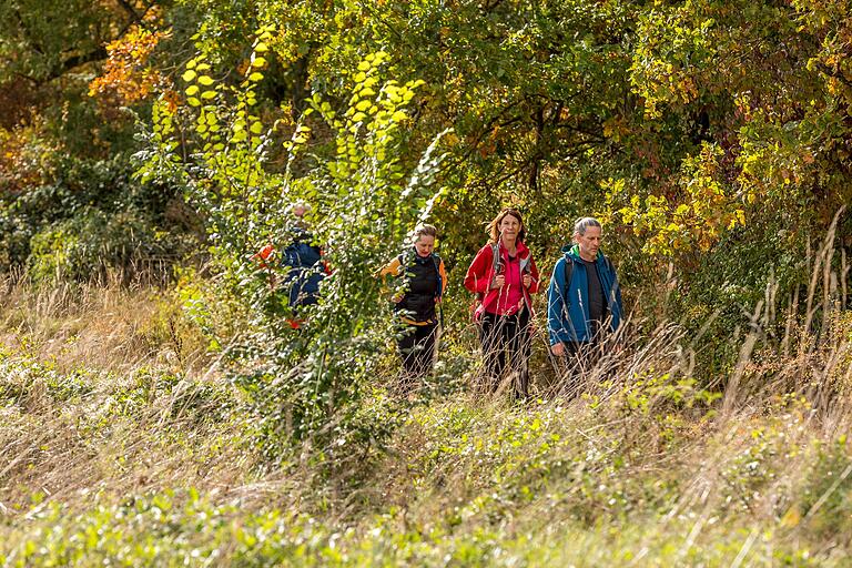 Unterwegs auf der TraumRunde Hüttenheim-Seinsheim im Kitzinger Land. Unterwegs auf der TraumRunde Hüttenheim-Seinsheim im Kitzinger Land.