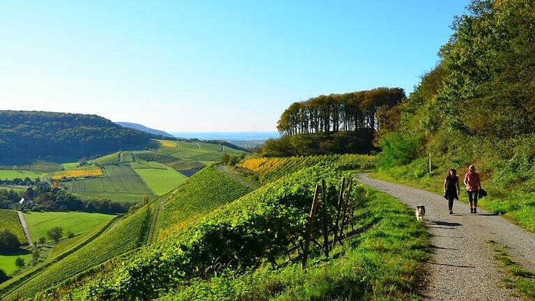 Die Traumrunde in Castell entlang der Weinberge führt zur ehemaligen Casteller Burg und klärt dort über die Geschichte des Fürstentums auf.