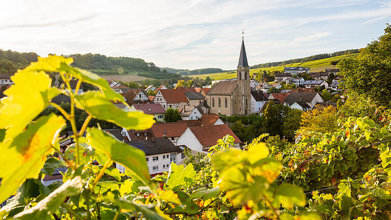 Auf dem Natur - und Kulturlehrpfad: Blick auf Beckstein.