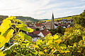 Auf dem Natur - und Kulturlehrpfad: Blick auf Beckstein.