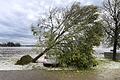 Unwetter in Schwaben.jpeg       -  Im Sommer wüteten starke Unwetter in der Region.