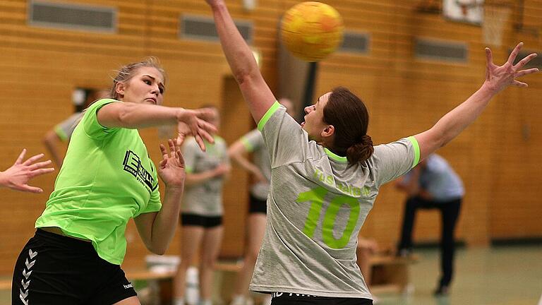 Mit der Dynamik des Meisters: Die Schraudenbacherin Michelle Brietzke (links) springt ab und passt, bedrängt von der Helpuperin Janina Hörmann (10).