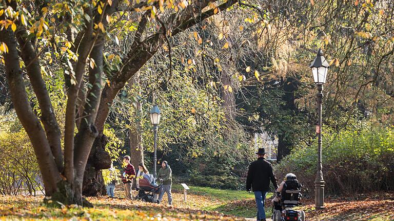 Der Ringpark ist als Naherholungsgebiet die 'grüne Lunge' Würzburgs. Doch der Park verliert immer mehr Bäume.&nbsp;