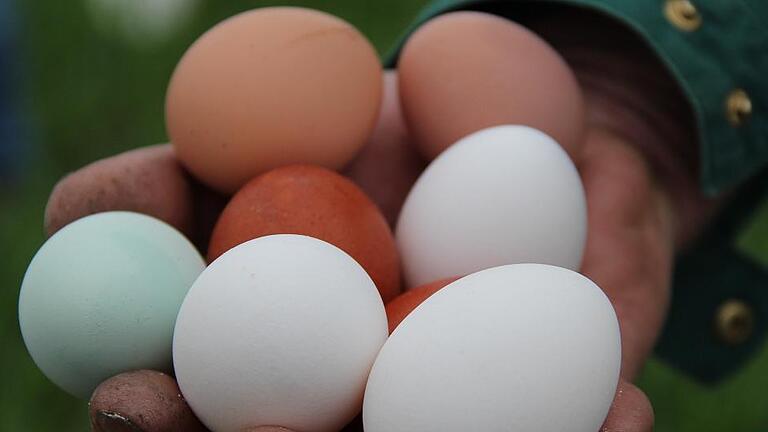 Frische Eier aus Marienbrunn &ndash; man muss zu Ostern eigentlich gar nicht färben.