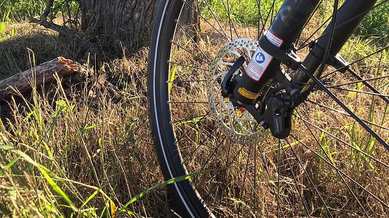 Die breiten Reifen vieler Mountainbikes hinterlassen auf Waldwegen und in den Weinbergen tiefe Spuren. Und die Tierwelt wird durch rücksichtslose Raser aufgeschreckt.&nbsp;