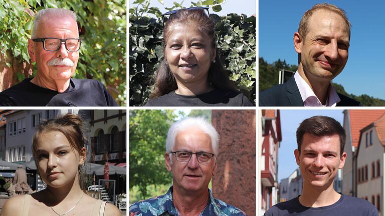 Eckbert Pott (oben von links), Yvonne Willms, Matthias Hanakam, Darina Raikhert, Manfred W. und Felix Schöger erzählen, was sie von den Skulpturen in Marktheidenfelds halten. Eckbert Pott (oben von links), Yvonne Willms, Matthias Hanakam, Darina Raikhert, Manfred W. und Felix Schöger erzählen, was sie von den Skulpturen in Marktheidenfelds halten.