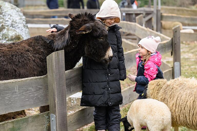Im Streichelzoo gibt es Esel, Schafe und Ziegen. Die meisten lassen sich geduldig von den Kindern streicheln. Zumindest wenn es zwischendurch einen kleinen Snack zur Belohnung gibt. Im Streichelzoo gibt es Esel, Schafe und Ziegen. Die meisten lassen sich geduldig von den Kindern streicheln. Zumindest wenn es zwischendurch einen kleinen Snack zur Belohnung gibt.