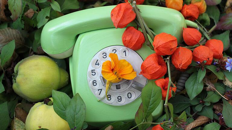 Wer Fragen zu Gartenthemen hat, kann sich an zwei Tagen in der Woche an das Gartentelefon der Landesanstalt für Weinbau und Gartenbau wenden.