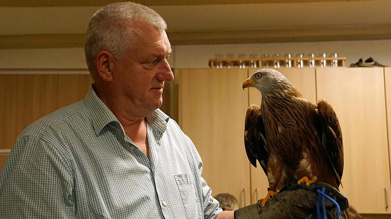 Auge in Auge: Gemeinderat Werner Rinke und der Rotmilan Bella Rossa. So nah kommt man einem Greifvogel selten.