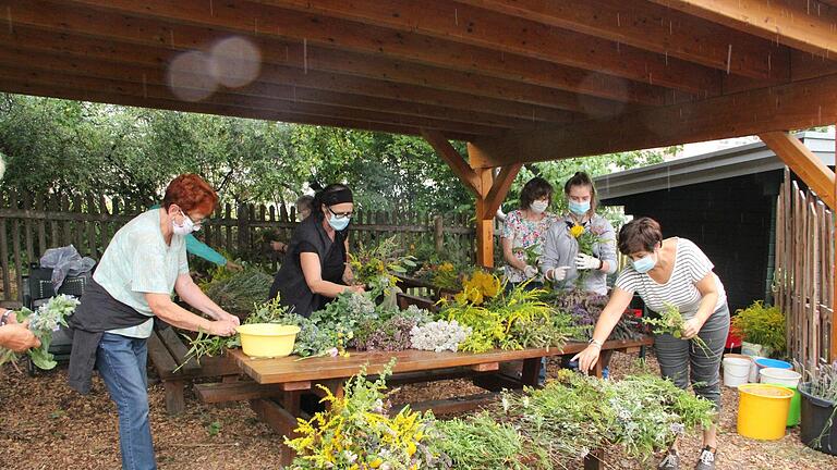 In der Ökolaube banden am Freitag Frauen des Nüdlinger Obst- und Gartenbauvereins die Kräutersträuße. Die offene Laube schützt vor Regen und Sonne gleichermaßen.Foto: Heike Beudert       -  In der Ökolaube banden am Freitag Frauen des Nüdlinger Obst- und Gartenbauvereins die Kräutersträuße. Die offene Laube schützt vor Regen und Sonne gleichermaßen.Foto: Heike Beudert