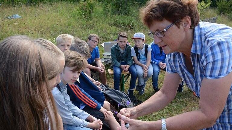 Helga Hein zeigt die raffinierten Mechanismen der Samenverbreitung und wie sie für das Projekt der bayerischen Kulturlandstiftung Samen von selten gewordenen Ackerwildkräutern sammelt. Elisabeth Assmann       -  Helga Hein zeigt die raffinierten Mechanismen der Samenverbreitung und wie sie für das Projekt der bayerischen Kulturlandstiftung Samen von selten gewordenen Ackerwildkräutern sammelt. Elisabeth Assmann