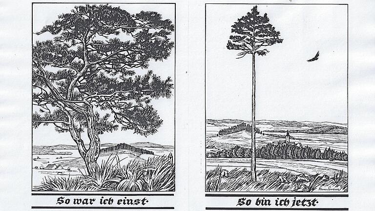 Ein Beispiel der Vergleiche „So war ich einst – So bin ich jetzt“ aus dem „Naturkundlichen Lesebuch in sechs Teilen von Cornel Schmitt, erschienen 1928.