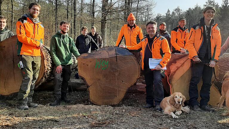 Das Team des Forstbetriebs Bad Königshofen um den Leiter Heiko Stölzner (vorne, mit Papieren) zeigt eine Wertholzeiche. Sie wurde allerdings nicht geklaut, bei den Dieben steht vor allem Buchenholz hoch im Kurs.